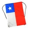Morral TNT Chile 34 x 44