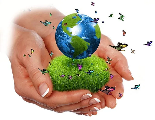 Alternativas Ecológicas