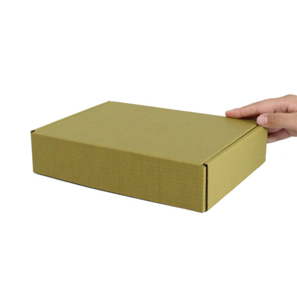 Caja Autoarmable 23 x 16 x 5