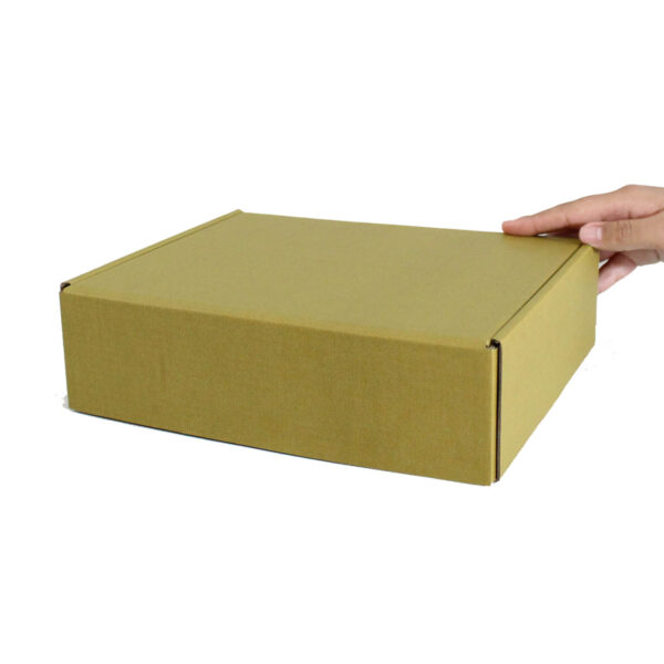 Caja Autoarmable 25 x 20 x 7