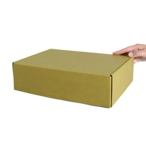 Caja Autoarmable 30 x 20 x 8