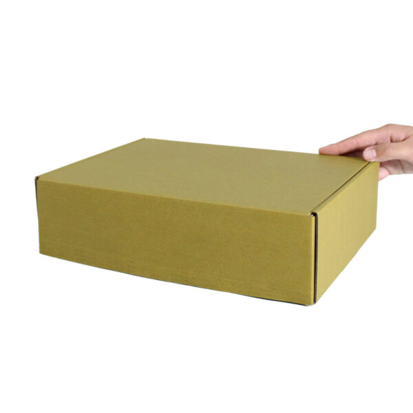 Caja Autoarmable 30 x 20 x 8