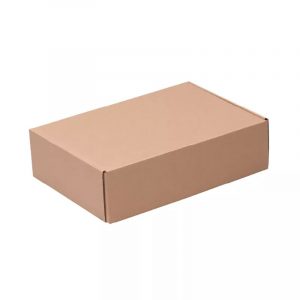 Caja Autoarmable 30 x 20 x 8