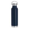 Botella Acero Térmica 650 cc.