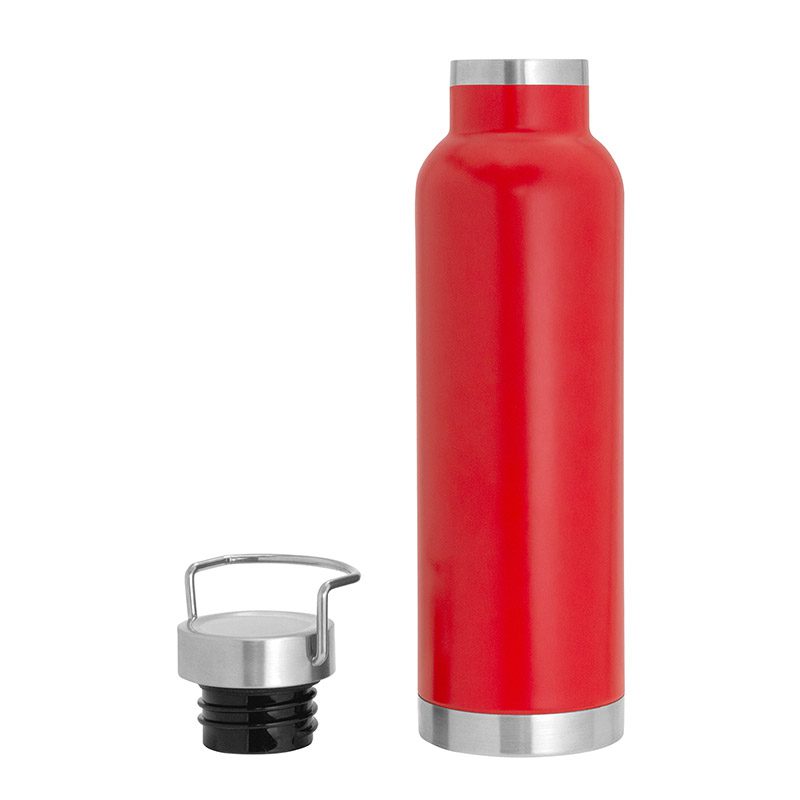 Botella Térmica 650 cc.