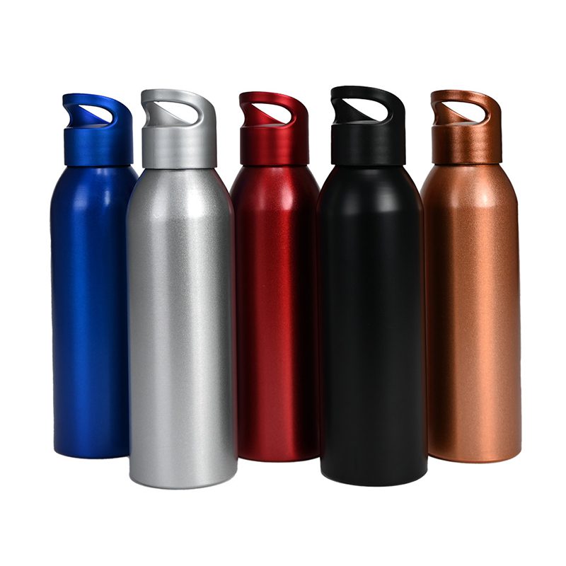 Botella Aluminio 650 cc. 
