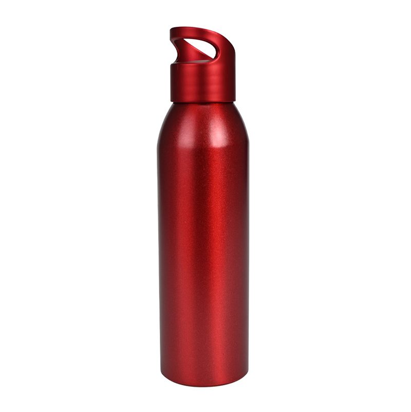 Botella Aluminio 650 cc. 