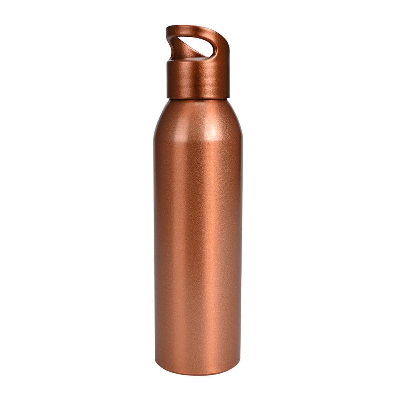 Botella Aluminio 650 cc. 