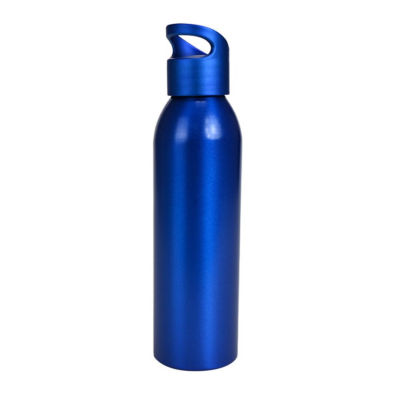 Botella Aluminio 650 cc. 