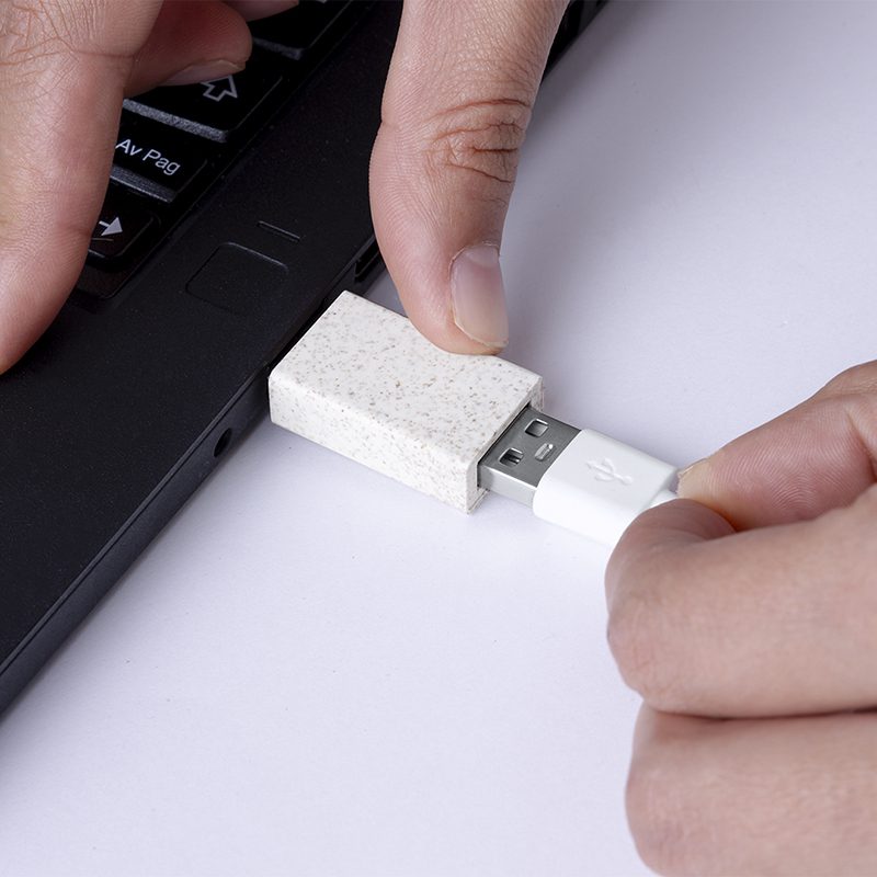 Seguridad Computacional