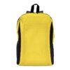 Mochila Poliéster 20 lts.