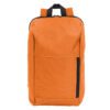Mochila Poliéster 12 lts.