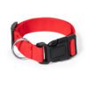 Collar Mascotas