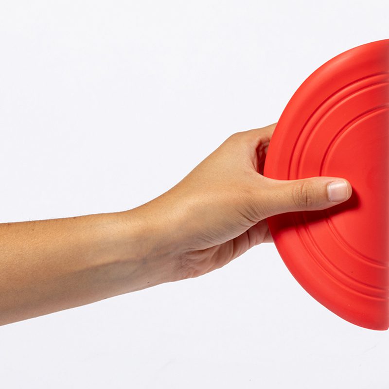 Frisbee para Mascotas