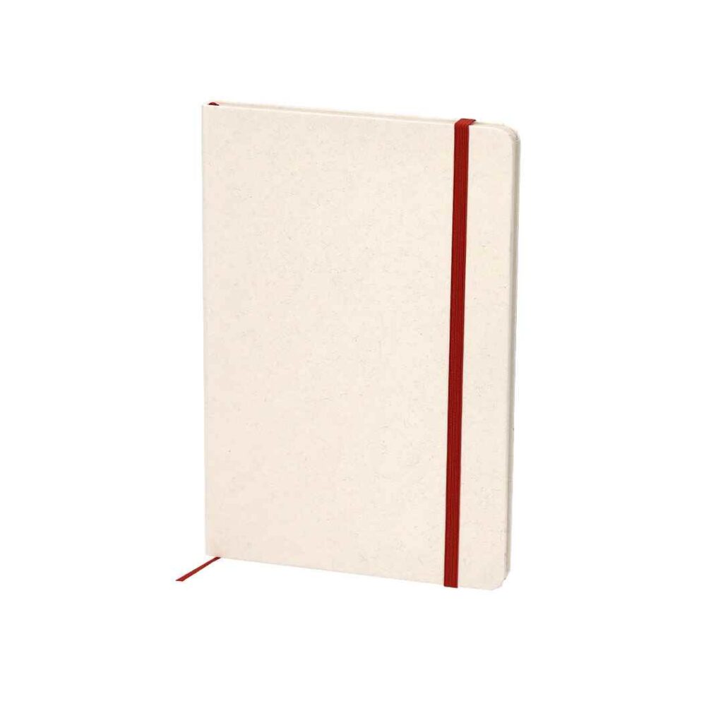 Cuadernos 14 x 21 Caja Leche Reciclada