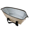 Bolsa Térmica PET Reciclado 19 lts.