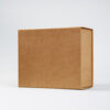 Caja Cartulina 25 x 21 x 11