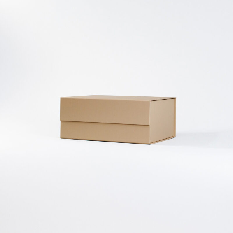 Caja Cartulina 25 x 21 x 11