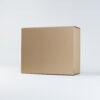 Caja Cartulina 25 x 21 x 11