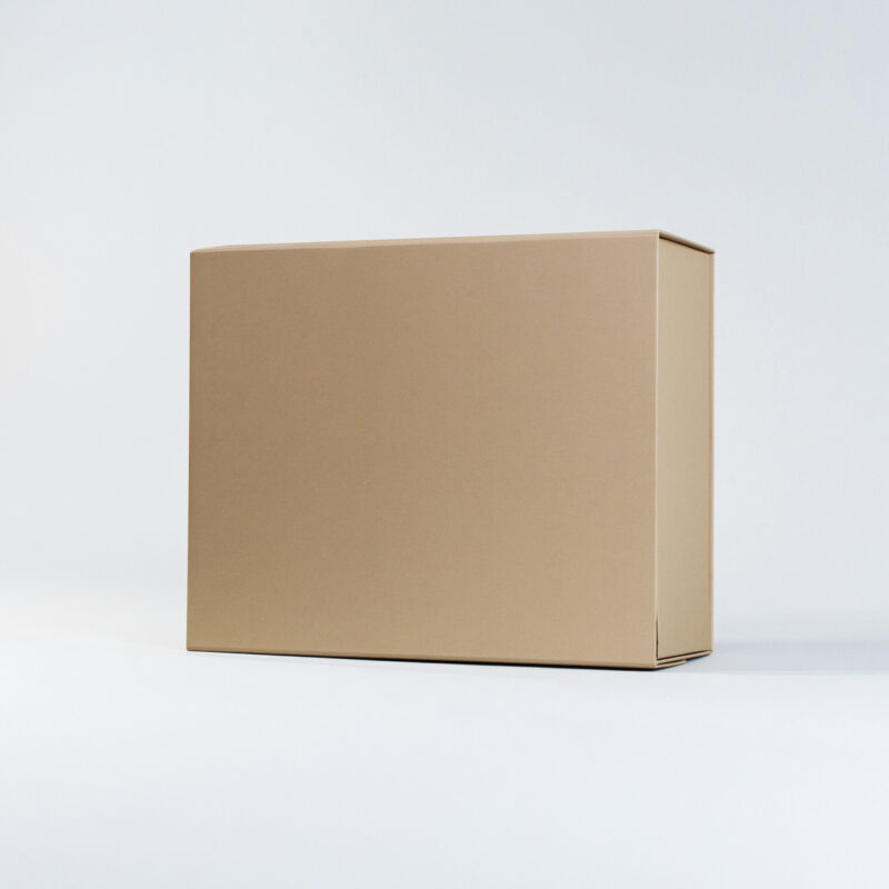 Caja Cartulina 25 x 21 x 11