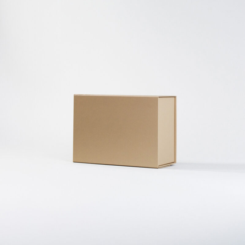 Caja Cartulina 21 x 9 x 15