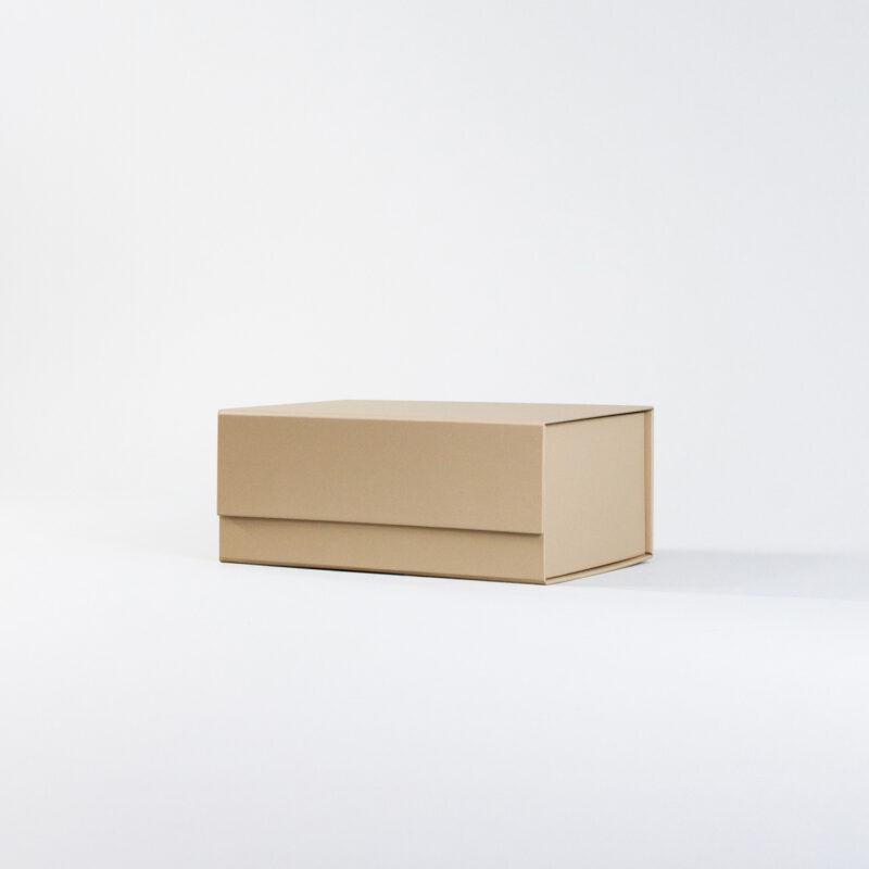 Caja Cartulina 21 x 9 x 15