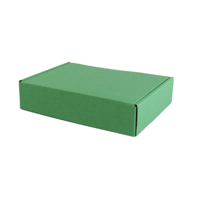 Caja Autoarmable 19 x 10 x 4 