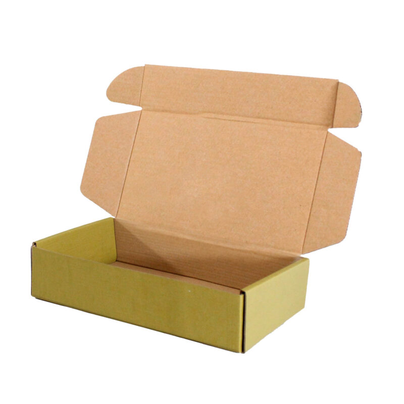 Caja Autoarmable 19 x 10 x 4 