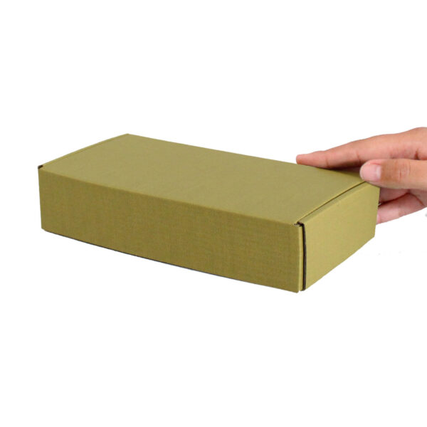 Caja Autoarmable 19 x 10 x 4 