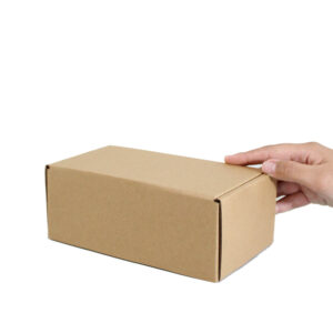 Caja Autoarmable 19 x 10 x 7