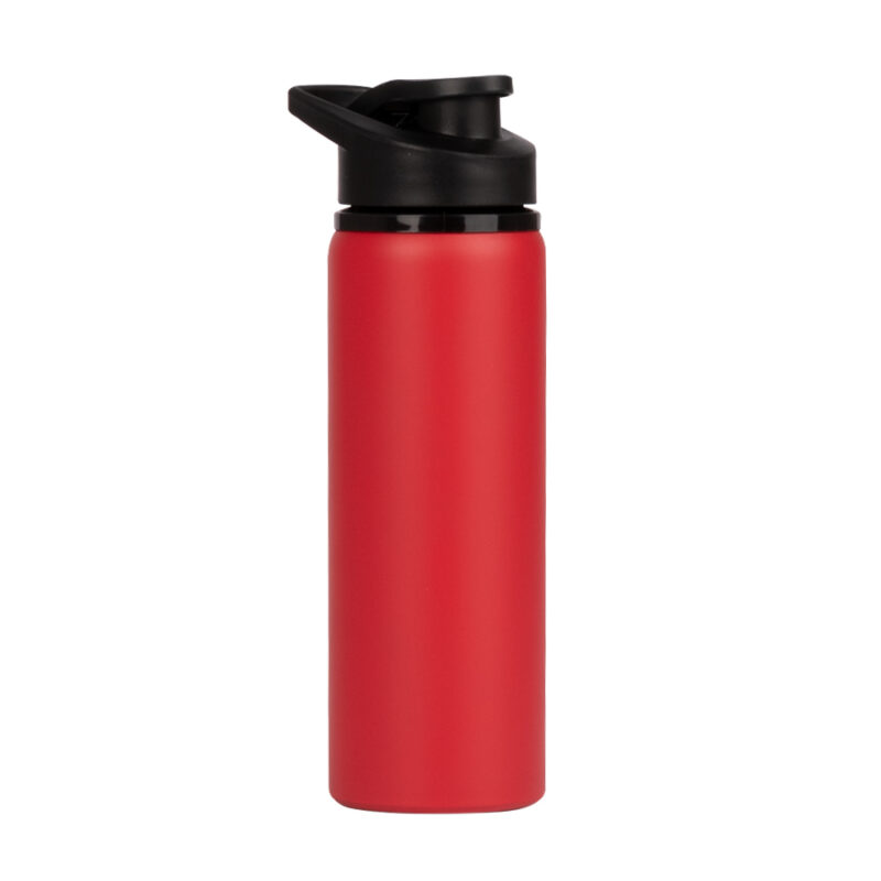 Botella Acero Inoxidable 750 cc.