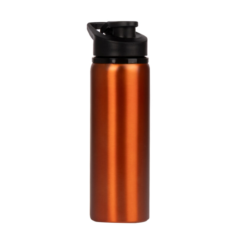 Botella Acero Inoxidable 750 cc.
