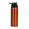 Botella Acero Inoxidable 750 cc.