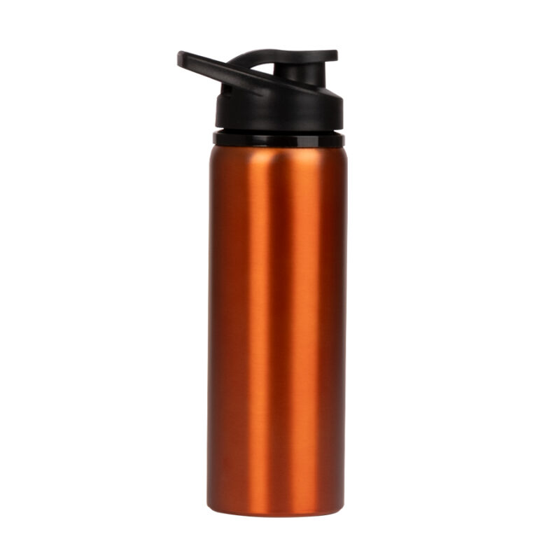Botella Acero Inoxidable 750 cc.