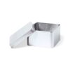 Caja Metálica