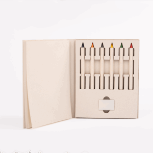 Set DIbujo Caja Leche Reciclada
