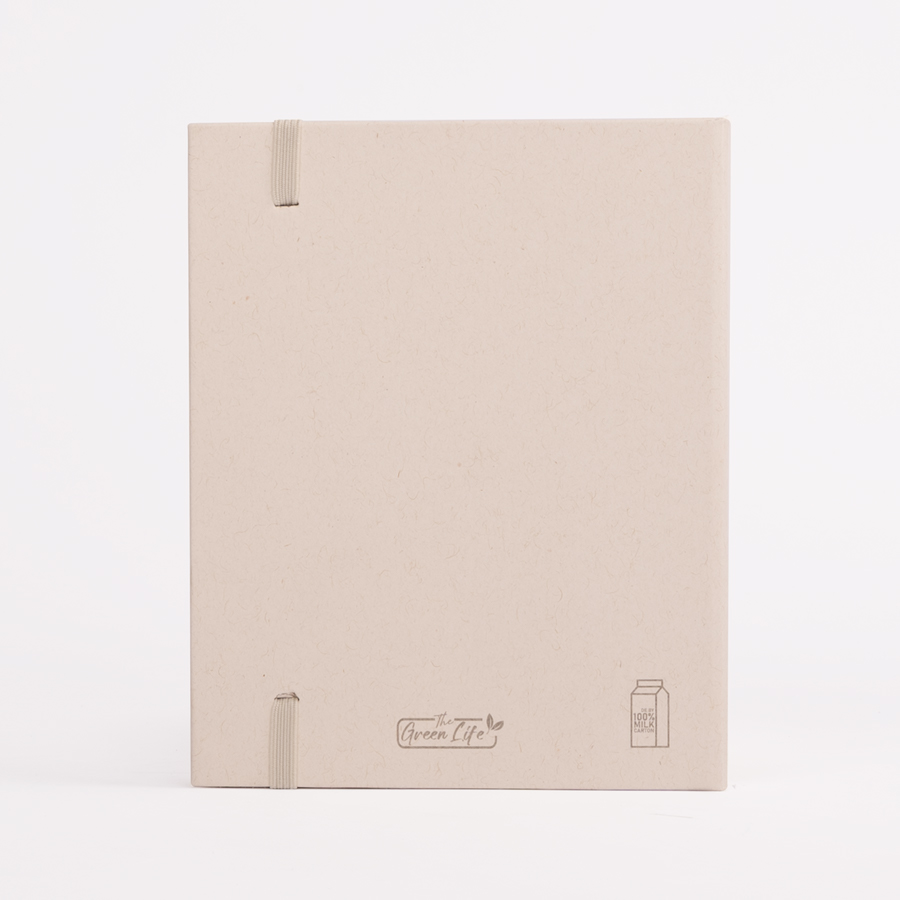 Set DIbujo Caja Leche Reciclada