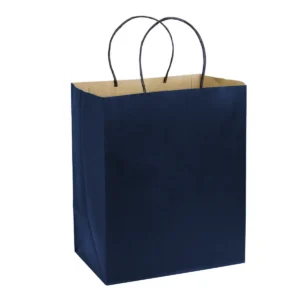 Bolsa Kraft 25 x 30 x 17
