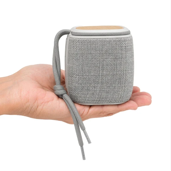 Parlante Bluetooth 