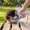 Dispensador de Agua
